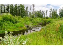 40518 Highway 821, Tees, AB T0C2N0 Photo 14