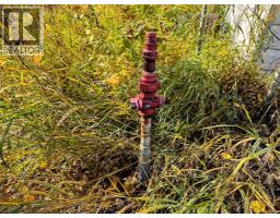 40518 Highway 821, Tees, AB T0C2N0 Photo 16