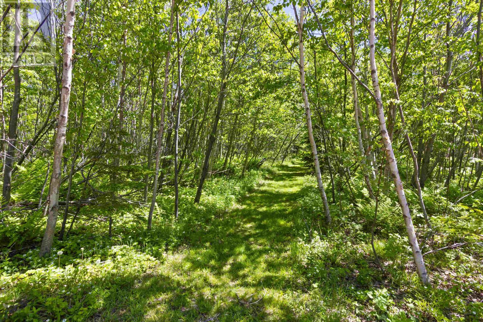 280 Lighthouse Road - 46