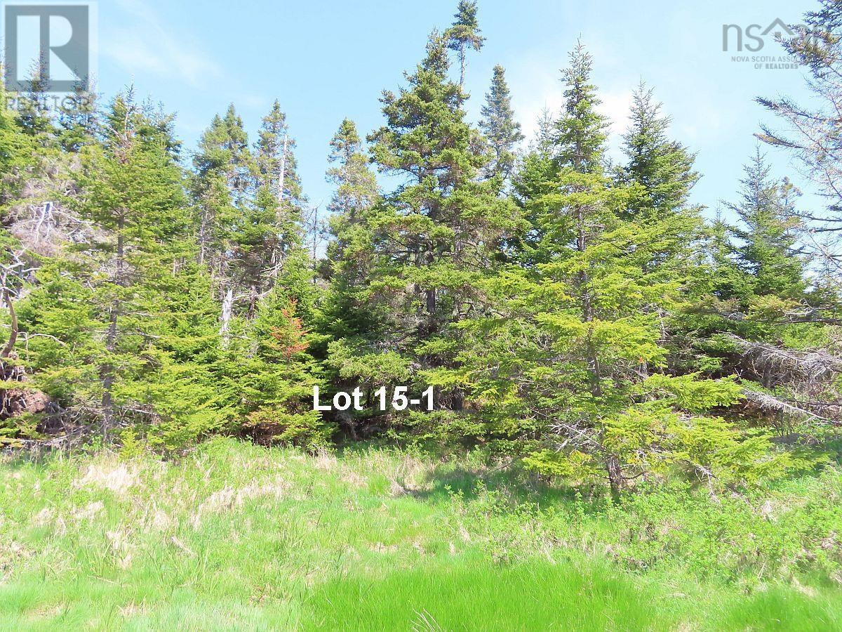 Property 24 of 42 of Lots 15&15-1 Hwy 316 (English Hbr)