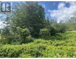 Lot Highway 10, Springfield, NS B0R1H0 Photo 6