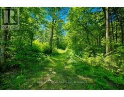 1883 Forest Lake Drive, Joly, ON P0A1Z0 Photo 43