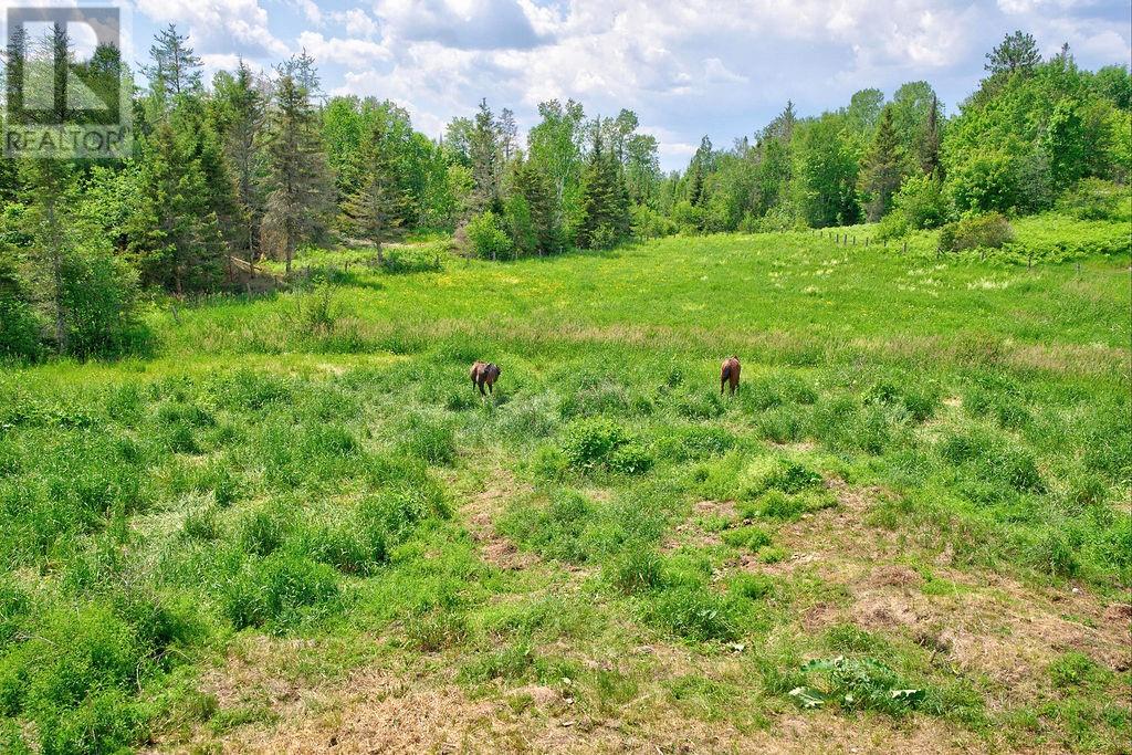 364 Rabbit Trail Road - 51