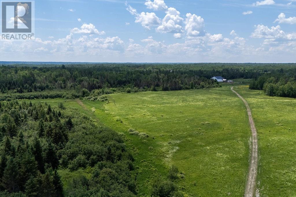 364 Rabbit Trail Road - 53