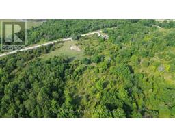 Lot 22 Mountain Road, Rideau Lakes, ON K0G1X0 Photo 9