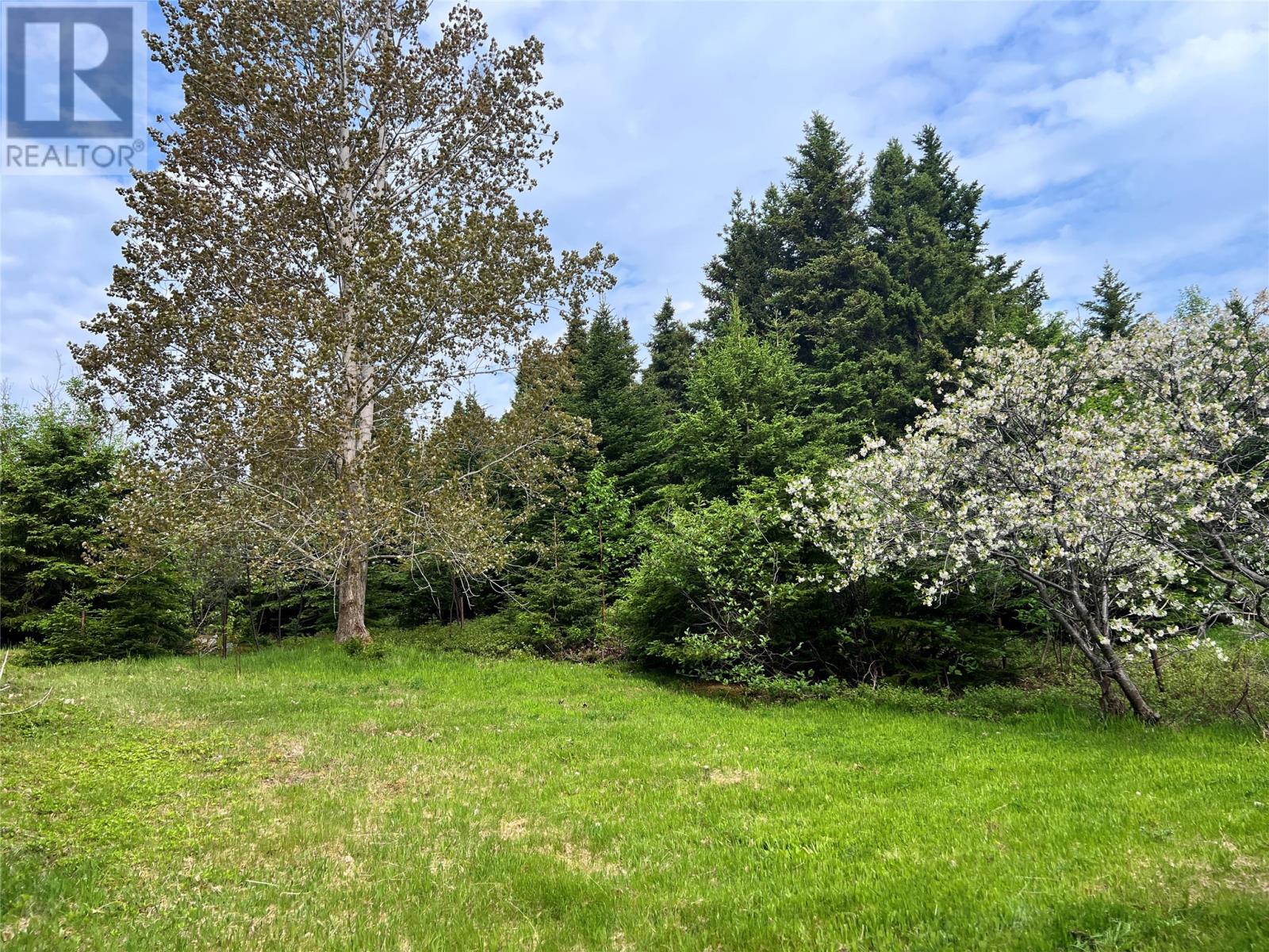 8 Bayview Road - 33