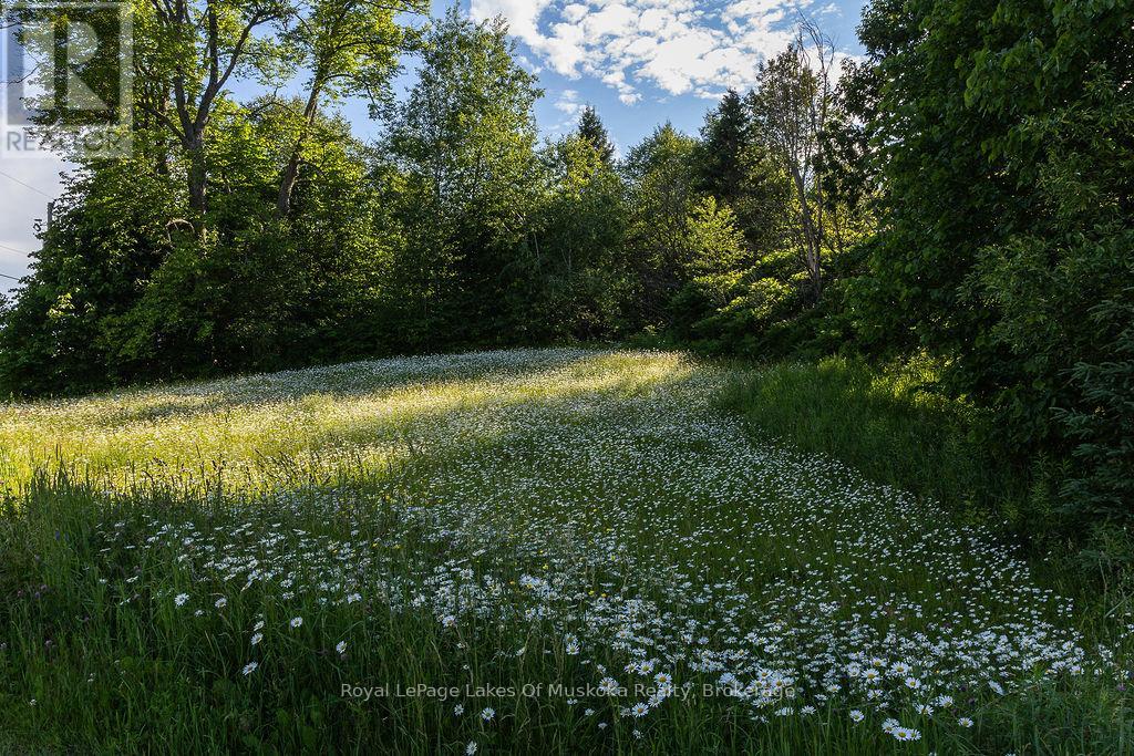 2245 AHMIC LAKE ROAD - 25