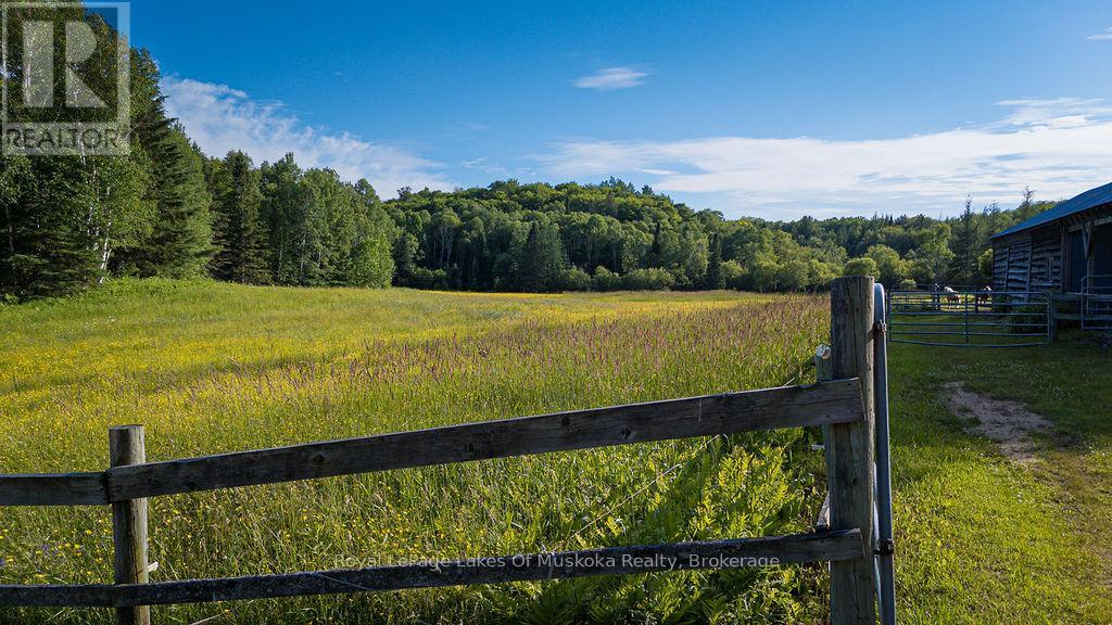 2245 AHMIC LAKE ROAD - 29