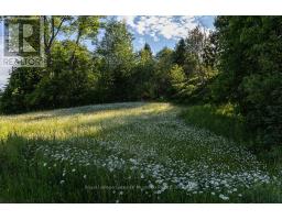 2245 Ahmic Lake Road, Magnetawan, ON P0A1P0 Photo 25