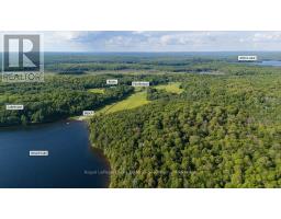 2245 Ahmic Lake Road, Magnetawan, ON P0A1P0 Photo 48