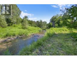 4860 Baldwin Street S, Whitby, ON L1R2W4 Photo 46