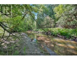 4860 Baldwin Street S, Whitby, ON L1R2W4 Photo 45