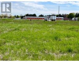 408 Croft Street, Port Hope, ON L1A4H1 Photo 6