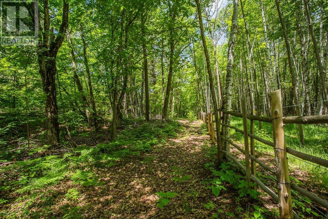15358 Highway 17, Township of Huron Shores - 29