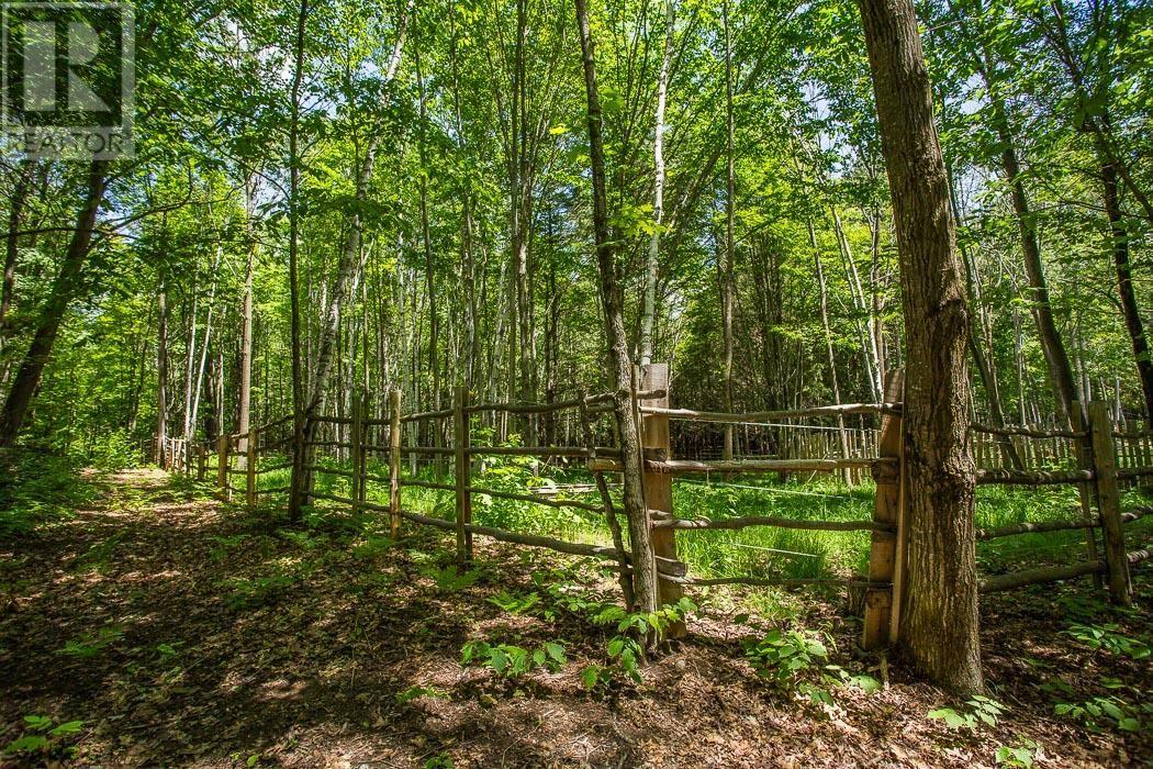 15358 Highway 17, Township of Huron Shores - 30