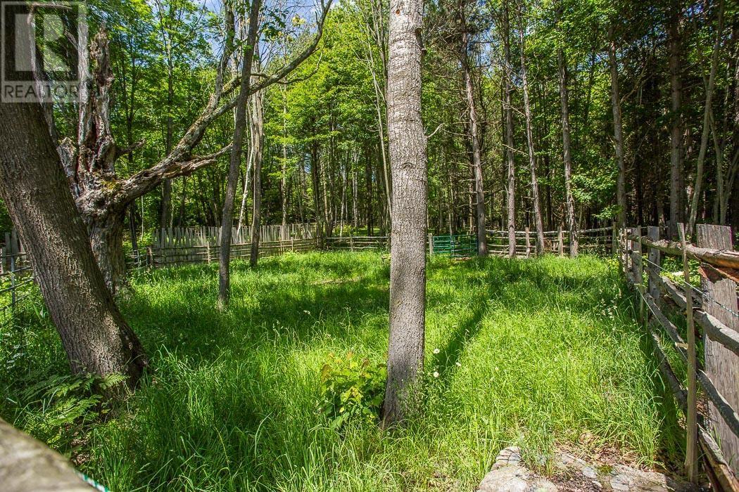 15358 Highway 17, Township of Huron Shores - 35