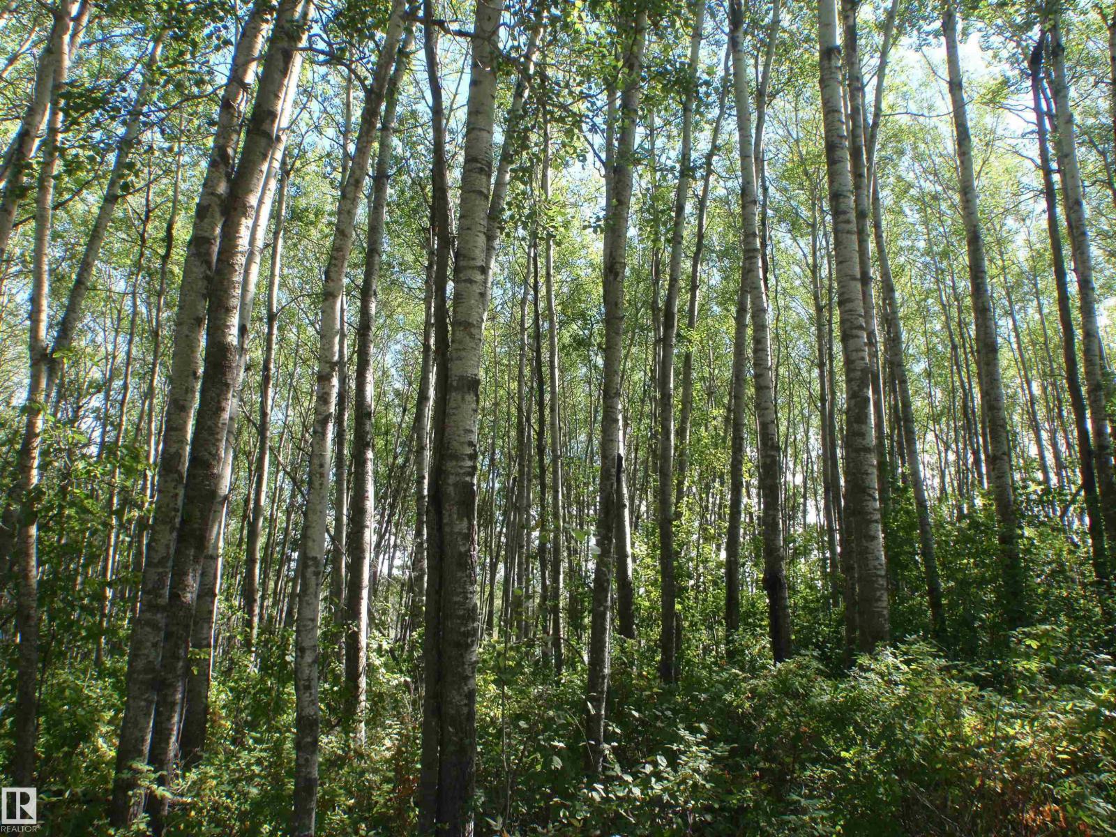 Rge Rd 62 - photo 5