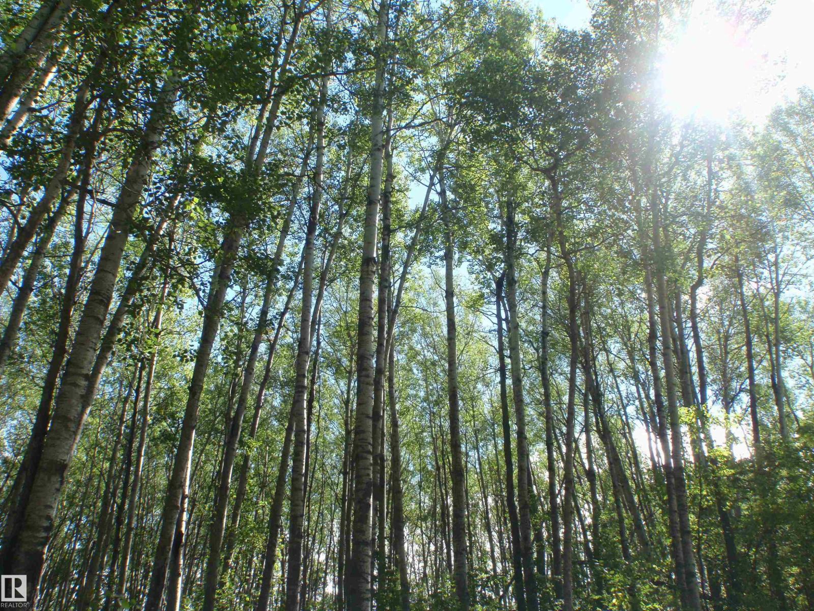 Rge Rd 62 - photo 4