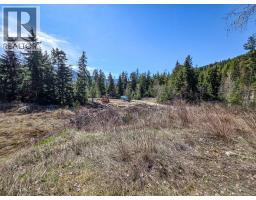 Lot D Veale Road, Balfour, BC V0G1C0 Photo 15