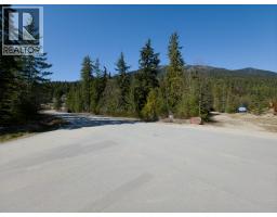Lot D Veale Road, Balfour, BC V0G1C0 Photo 11