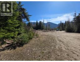 Lot D Veale Road, Balfour, BC V0G1C0 Photo 16