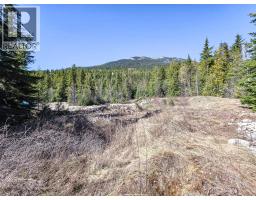 Lot D Veale Road, Balfour, BC V0G1C0 Photo 14