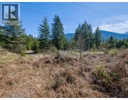 Lot D Veale Road, Balfour, BC V0G1C0 Photo 18