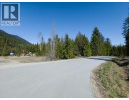 Lot D Veale Road, Balfour, BC V0G1C0 Photo 12