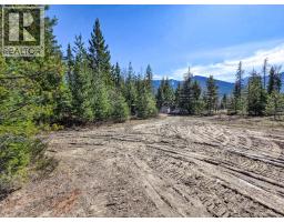 Lot D Veale Road, Balfour, BC V0G1C0 Photo 17