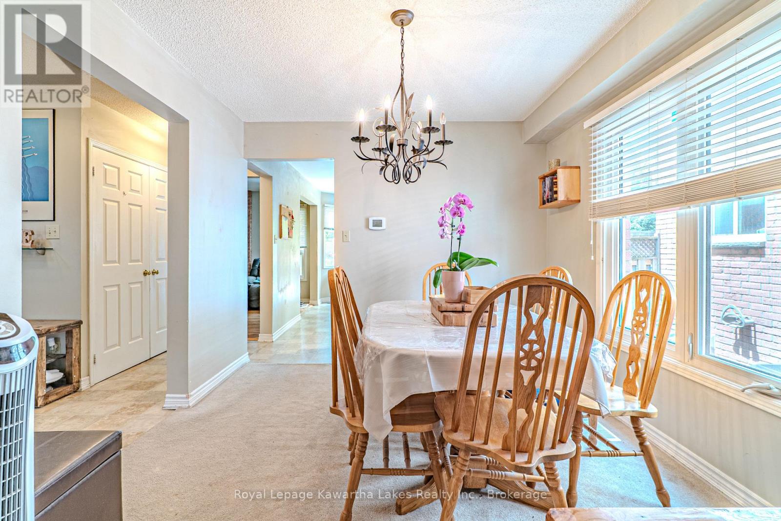 38 LIPTON CRESCENT - 11