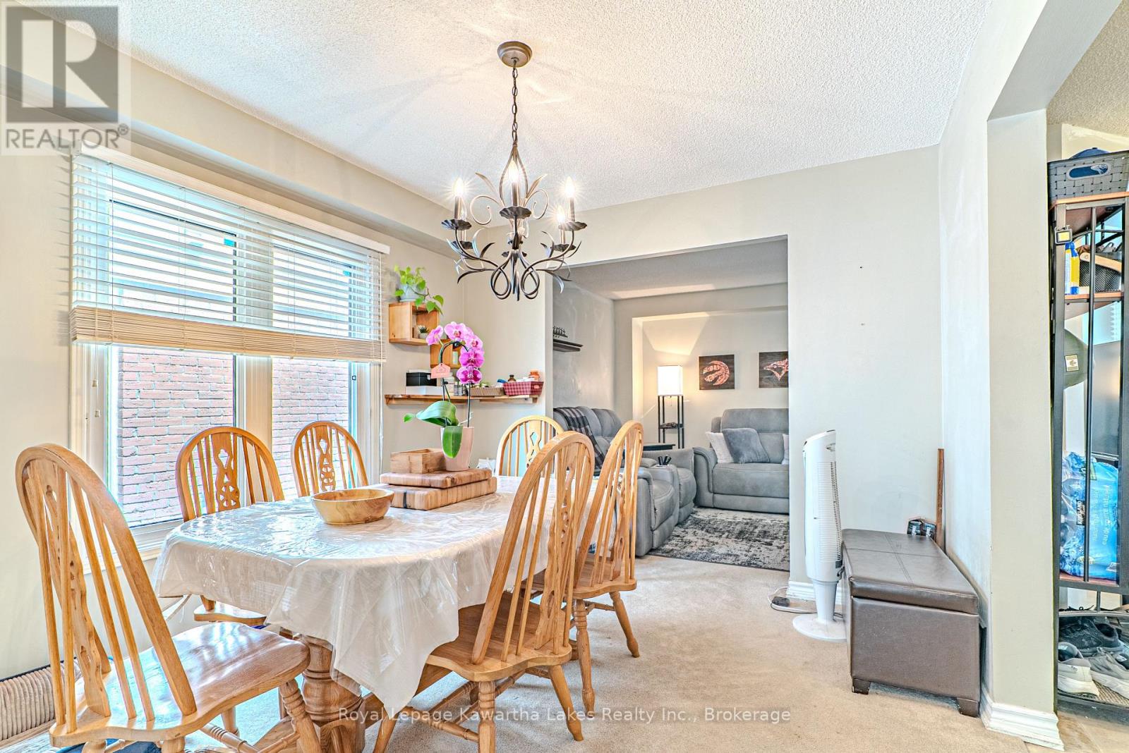 38 LIPTON CRESCENT - 12
