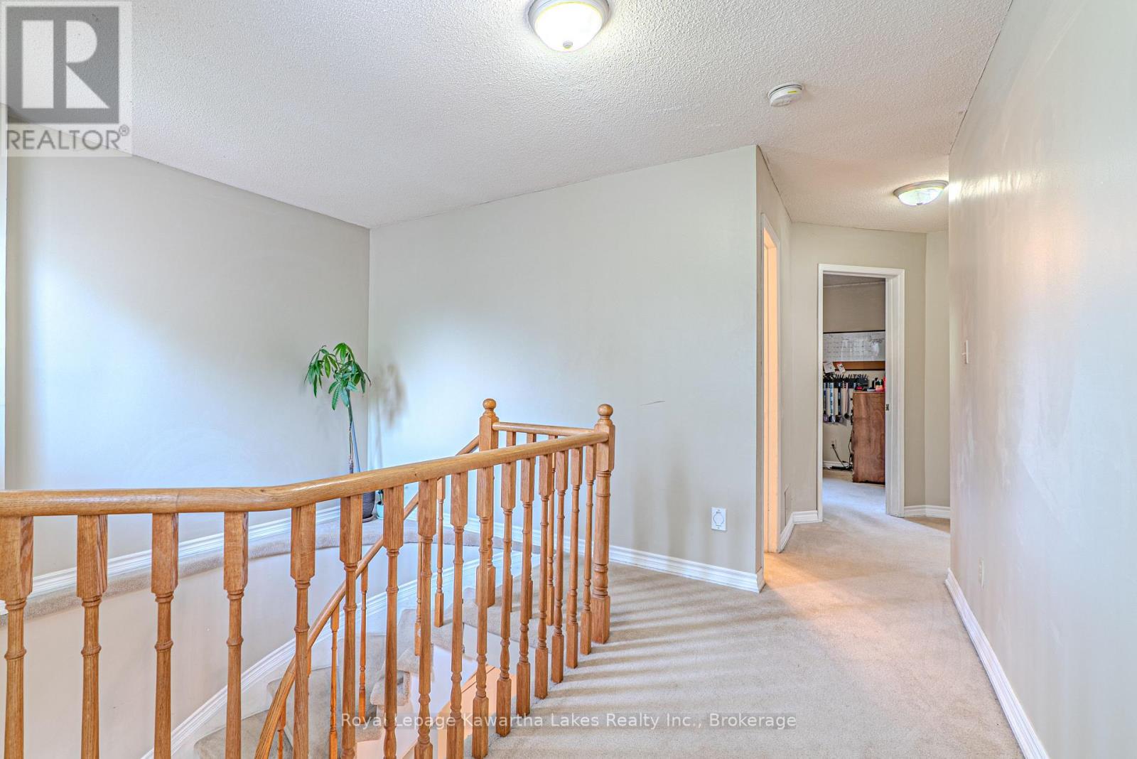 38 LIPTON CRESCENT - 16