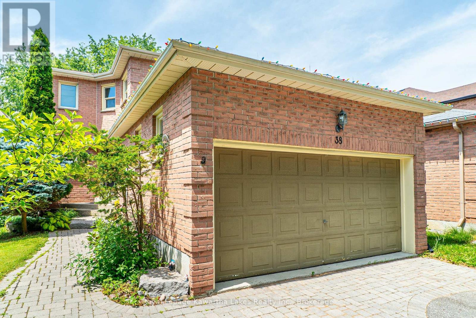 38 LIPTON CRESCENT - 2