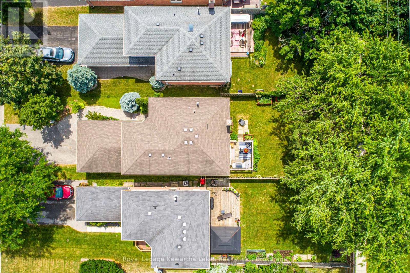 38 LIPTON CRESCENT - 32