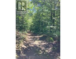 Lot 402 Desroches Trail, Tiny, ON L9M0H9 Photo 10