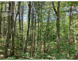 Lot 402 Desroches Trail, Tiny, ON L9M0H9 Photo 11