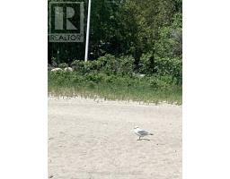 Lot 402 Desroches Trail, Tiny, ON L9M0H9 Photo 8