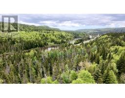 7 Main Road, Gallants, NL A0L1G0 Photo 12