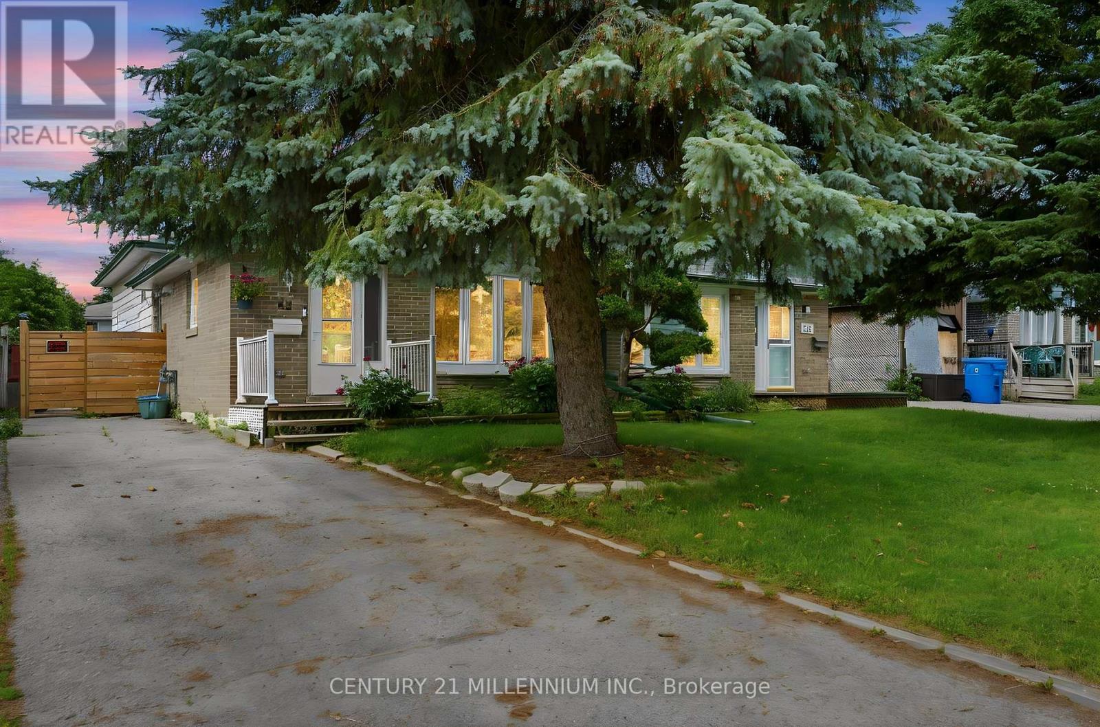 52 CARLTON DRIVE - 3
