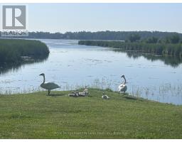36 Spen Haven Road, Kawartha Lakes, ON K9V0K3 Photo 32