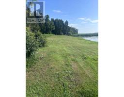 36 Spen Haven Road, Kawartha Lakes, ON K9V0K3 Photo 31