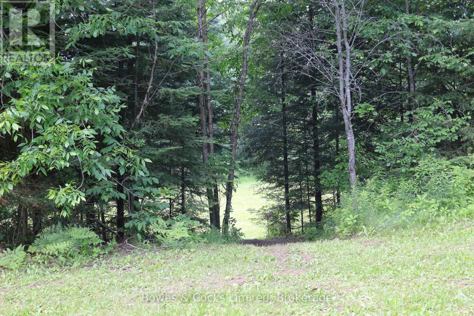 3994 COUNTY ROAD 620 - Image 26