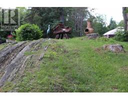 3994 County Road 620, North Kawartha, ON K0L1A0 Photo 18