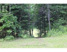 3994 County Road 620, North Kawartha, ON K0L1A0 Photo 26