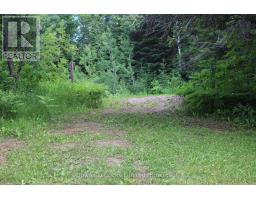 3994 County Road 620, North Kawartha, ON K0L1A0 Photo 27