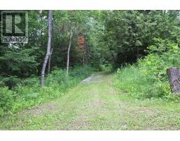 3994 County Road 620, North Kawartha, ON K0L1A0 Photo 28