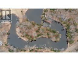 3994 County Road 620, North Kawartha, ON K0L1A0 Photo 50