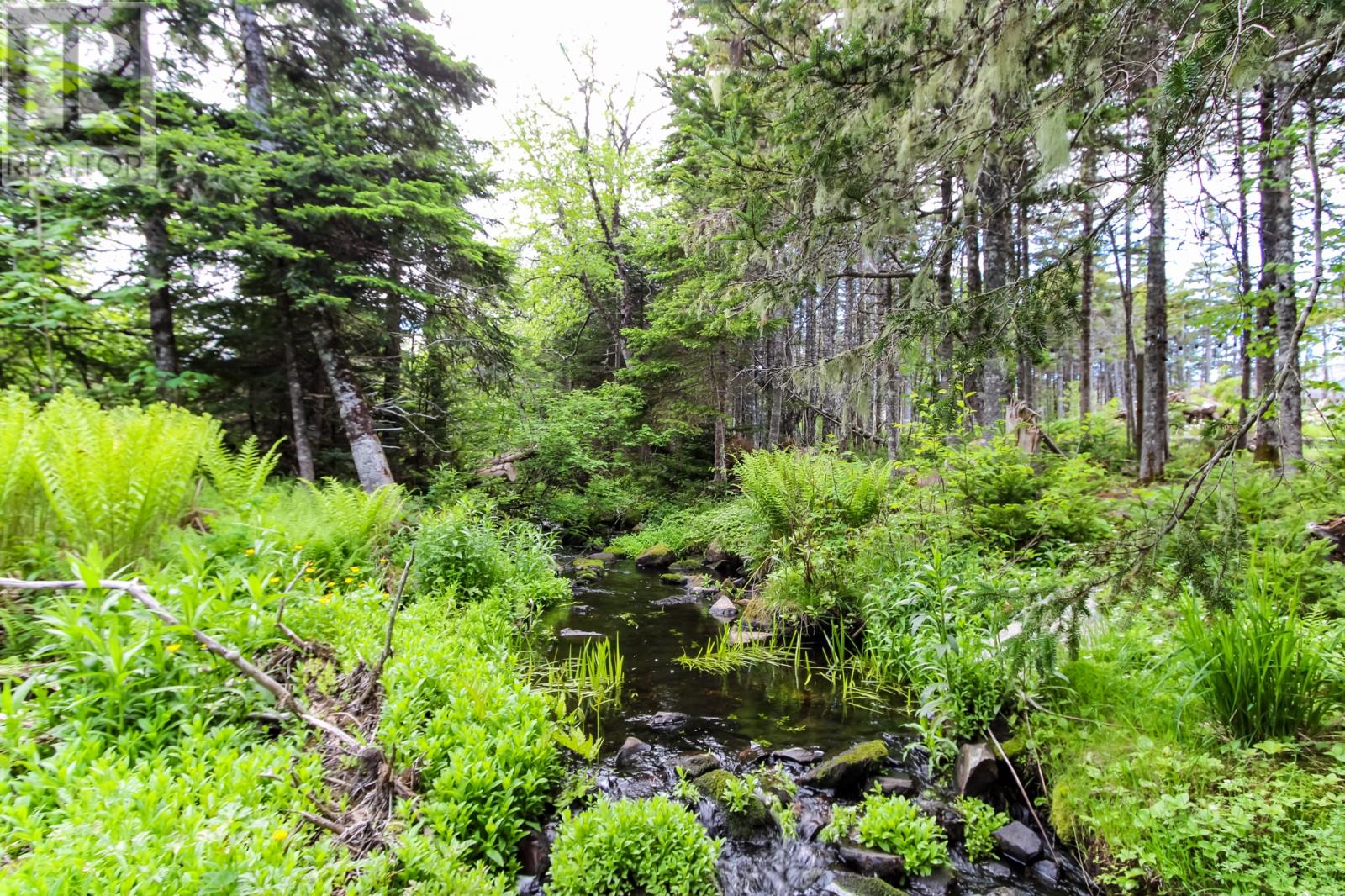 24 Forest River Road - 38