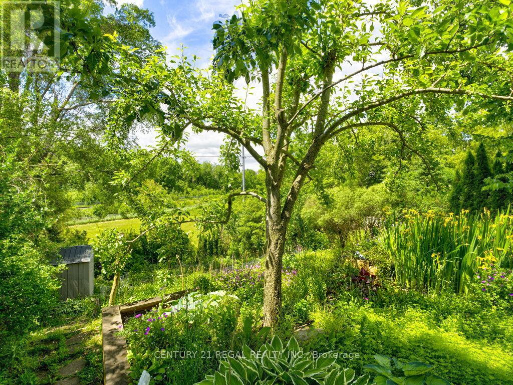 122 LONGFIELD ROAD - 38