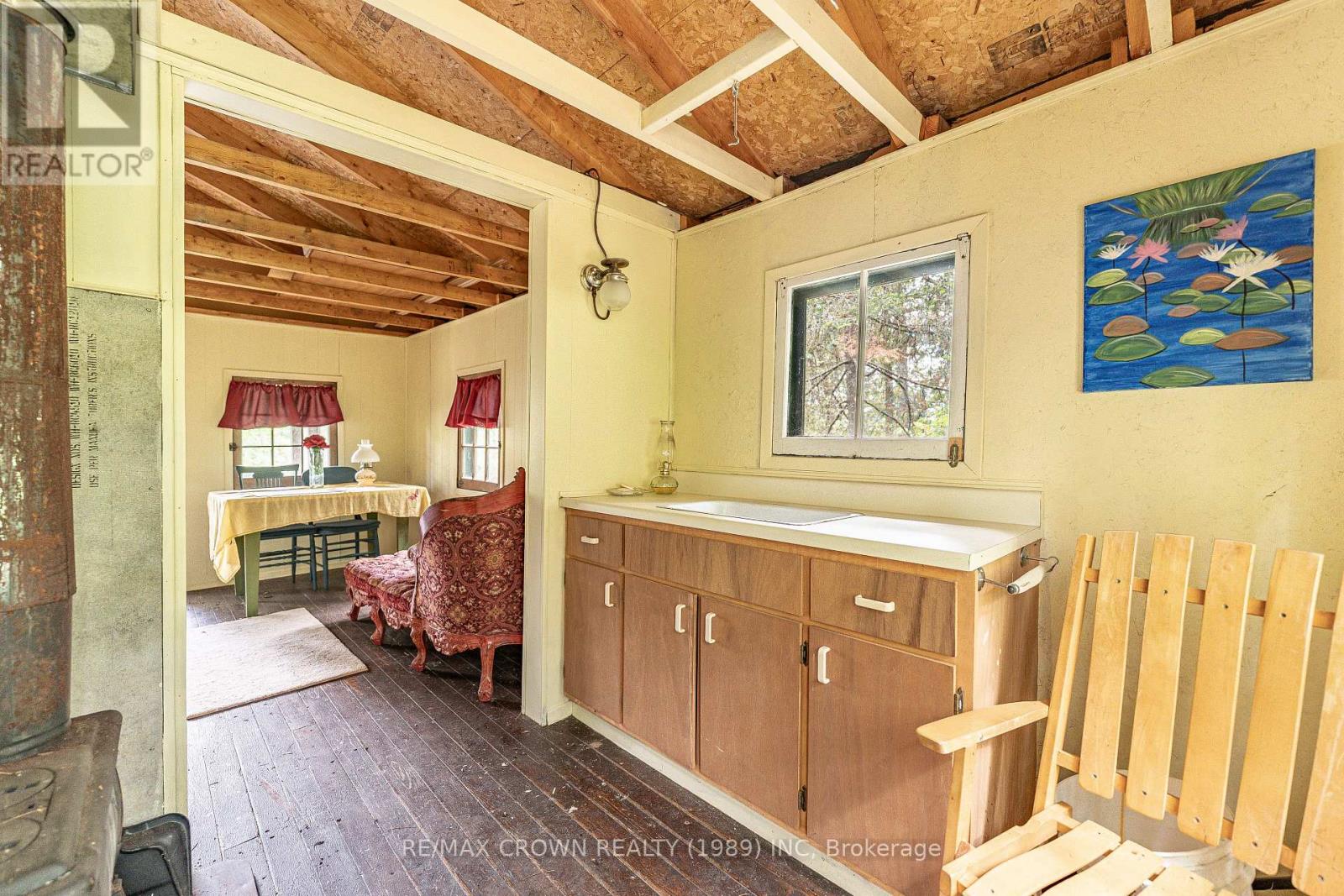 28 CASSELS LAKE C ISLAND - 22